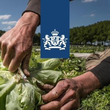 Advies voor minister inzake Europese stemming verlagen beschermde status van de wolf