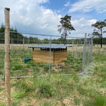 VLAAMS WETENSCHAPPELIJK ONDERZOEK ONDER DE LOEP
