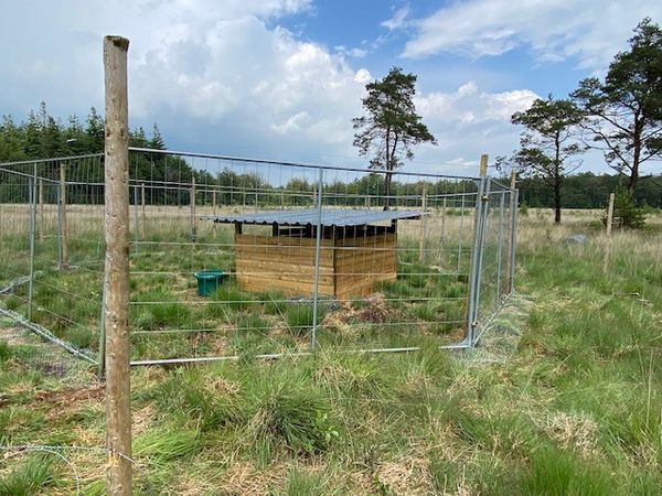 VLAAMS WETENSCHAPPELIJK ONDERZOEK ONDER DE LOEP