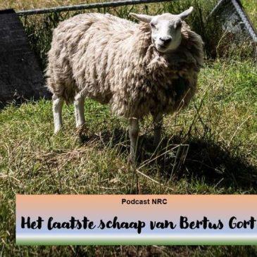 Het laatste schaap
