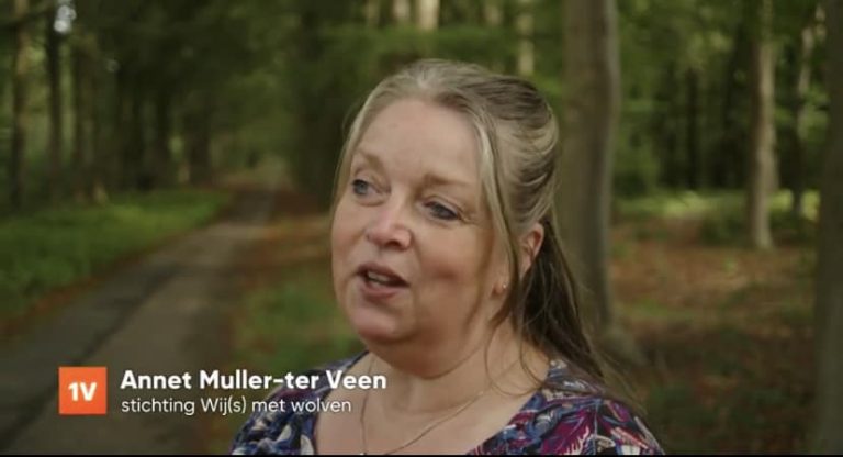 WIJ(S) MET WOLVEN IN EEN VANDAAG