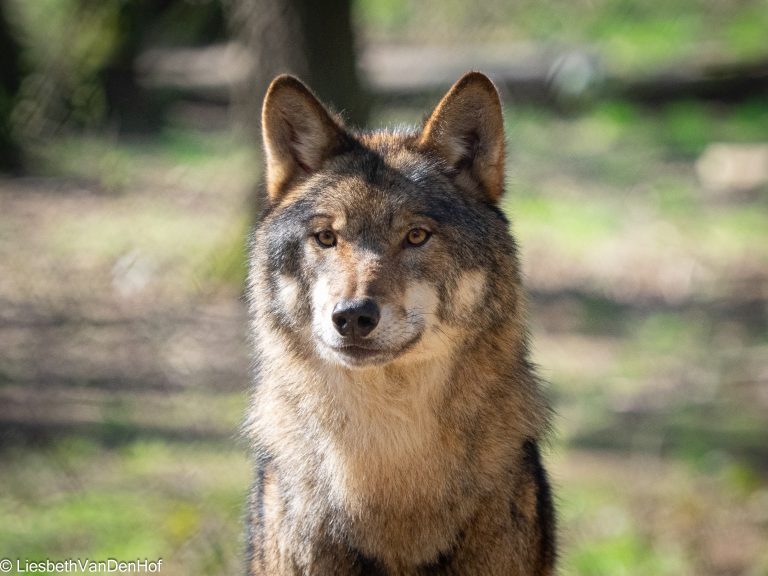Brief aan de minister en de staatssecretaris!