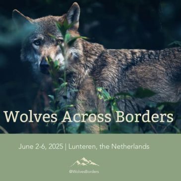 🎓🦉WIJ(s) MET WOLVEN BIJ WOLVES ACROSS BORDERS 🦉🎓
