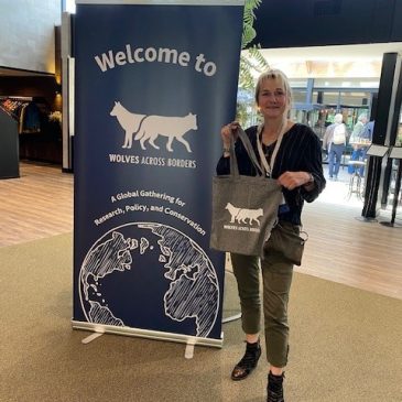Pitch Wij(s) met wolven Congres Wolves across borders 3 juni 2025