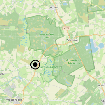 Begrazingsproject Elperstroomgebied stopt door wolvenaanvallen